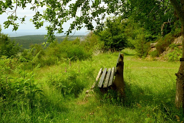 的胜利不仅 的胜利不仅