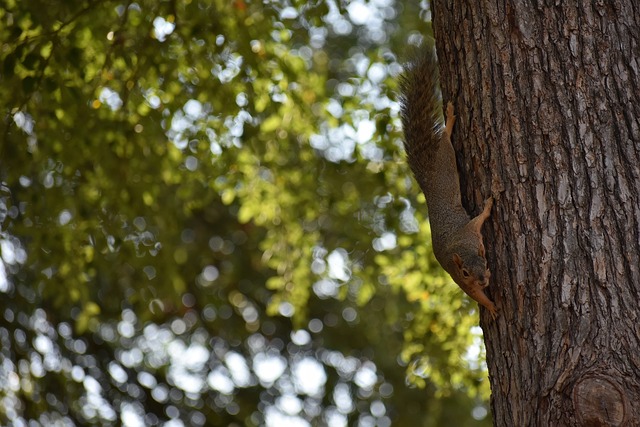 便捷的交通 便捷的交通