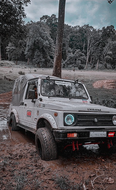 队带来了新 队带来了新